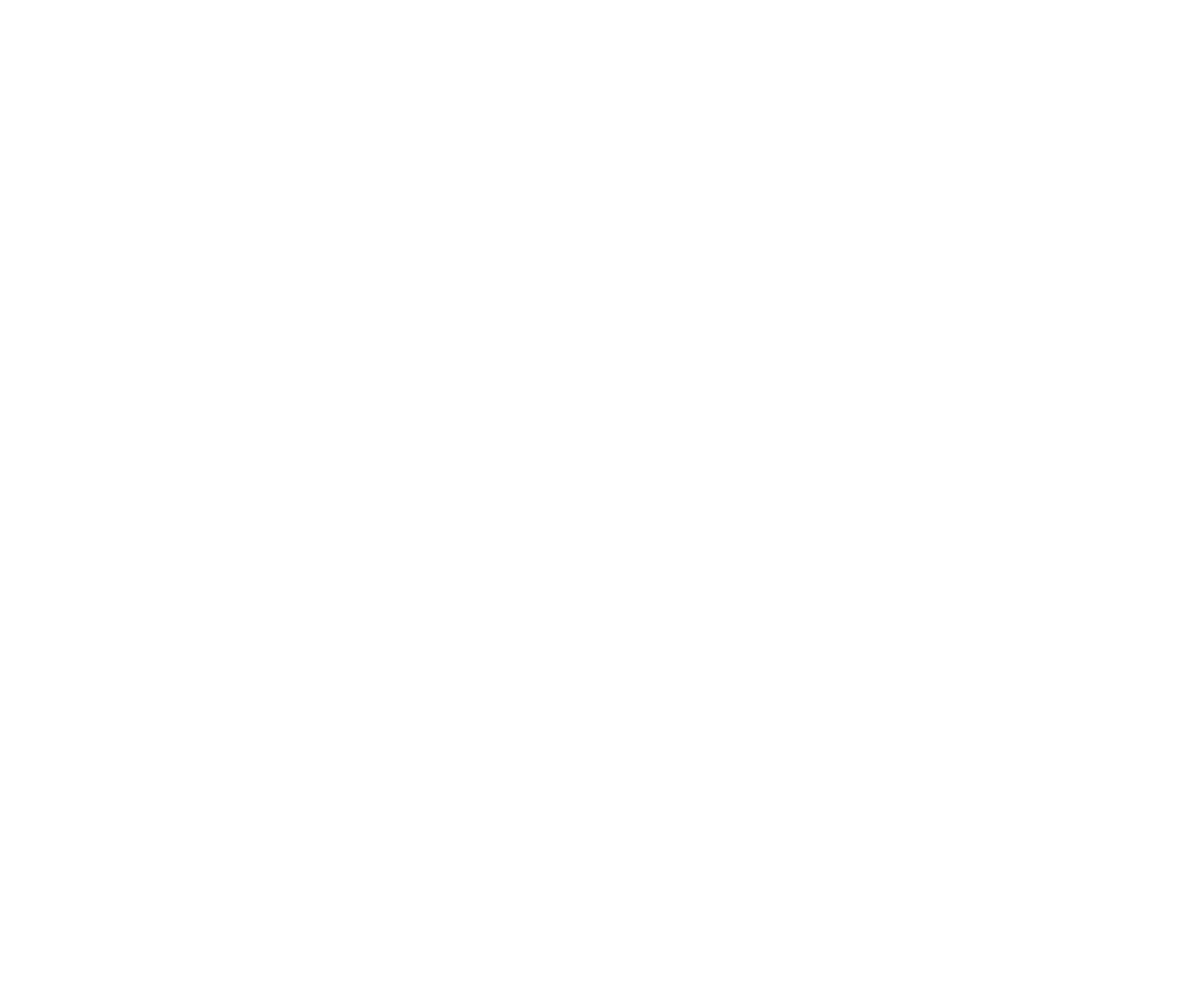 Logo BLM